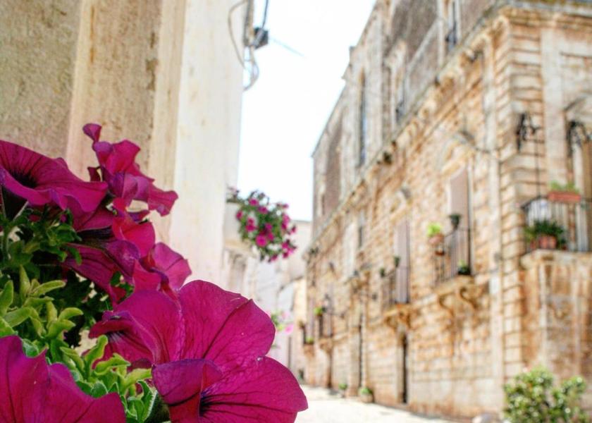 Puglia Ceglie Messapica View