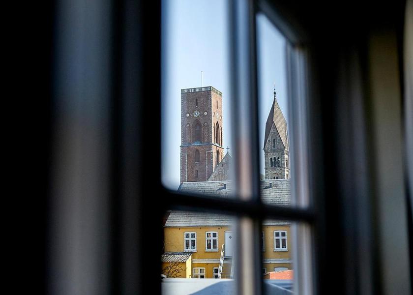 Syddanmark Ribe view