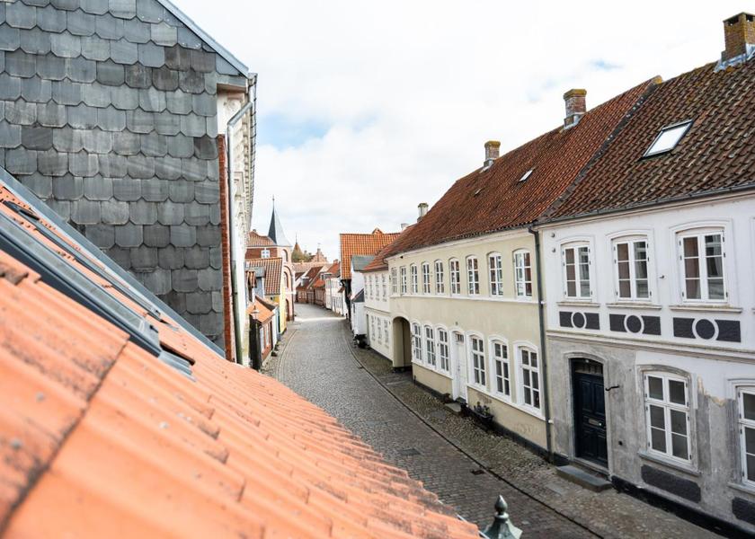 Syddanmark Ribe View