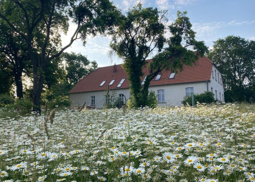 Mecklenburg-West Pomerania Friedland facilities