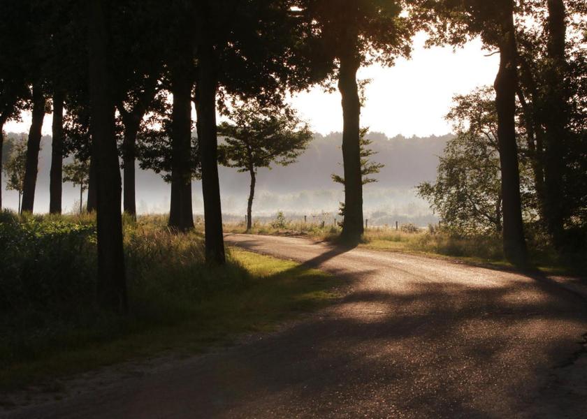 surrounding environment