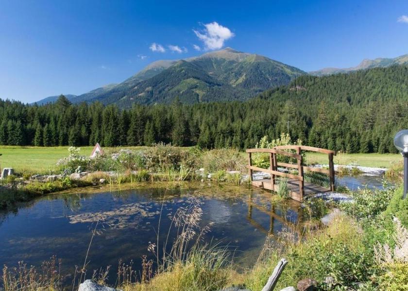 Styria Hohentauern garden