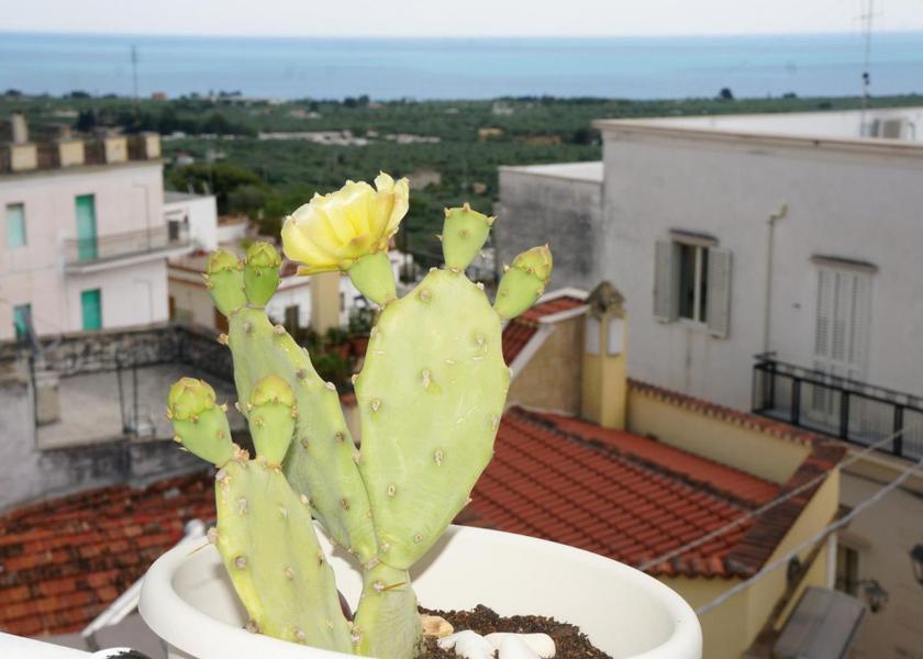 Puglia Mattinata balcony/terrace