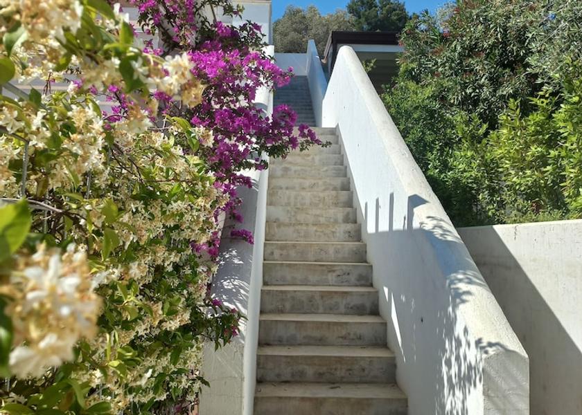 Puglia Mattinata Property grounds