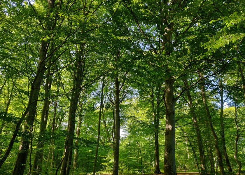 surrounding environment