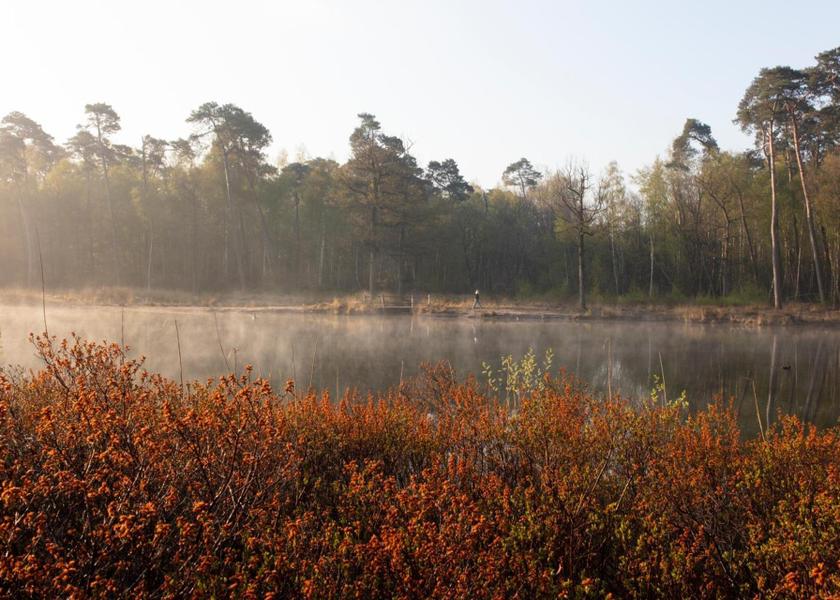 surrounding environment