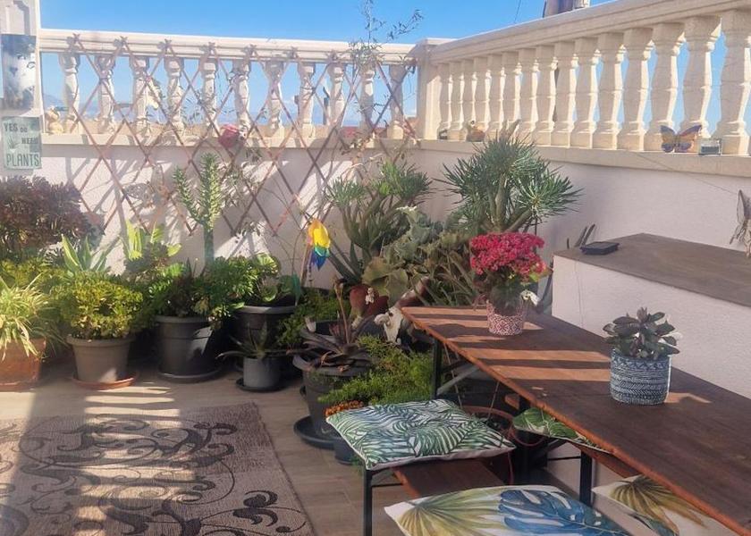 Valencian Community Santa Pola garden