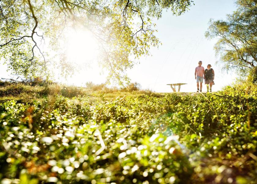 surrounding environment