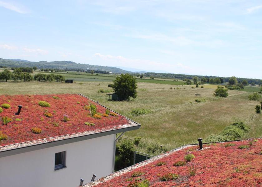 surrounding environment