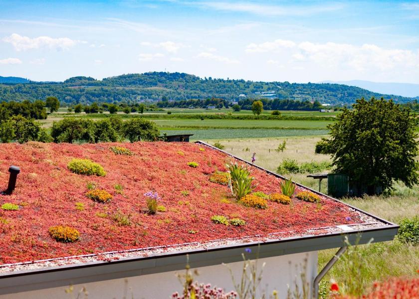 surrounding environment