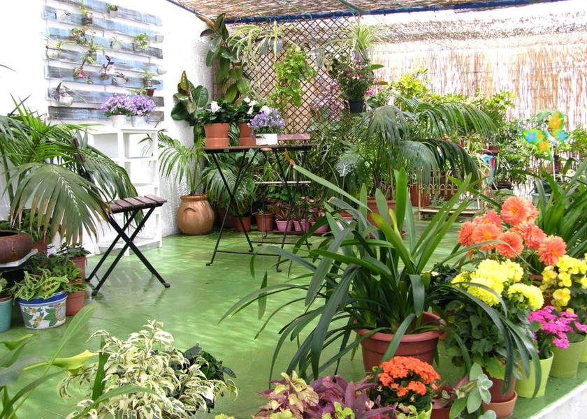 Andalusia Punta Umbría facilities