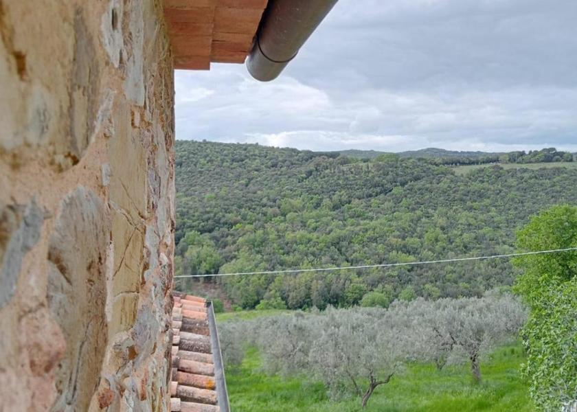 surrounding environment