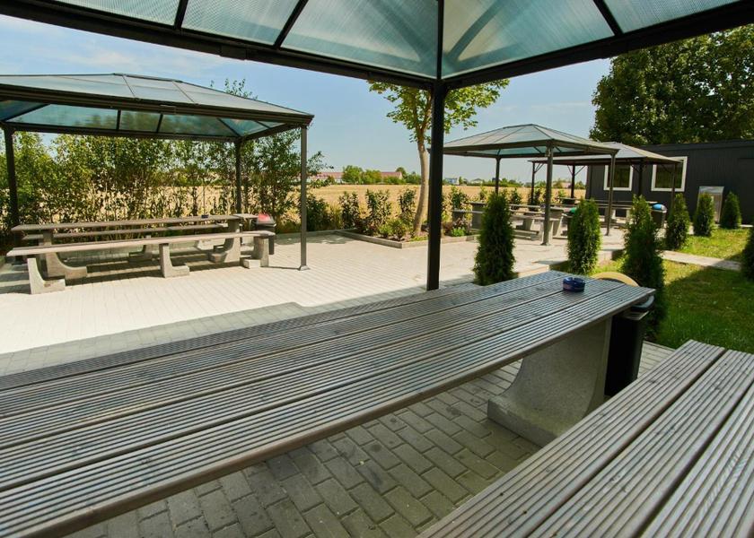 Saxony-Anhalt Magdeburg garden