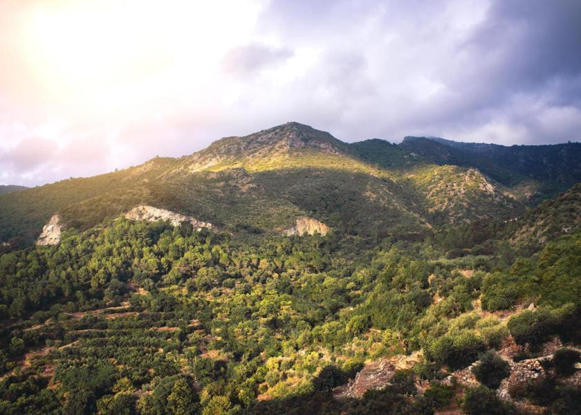 sports and activities