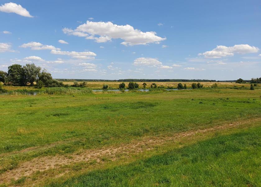 Saxony-Anhalt Magdeburg 