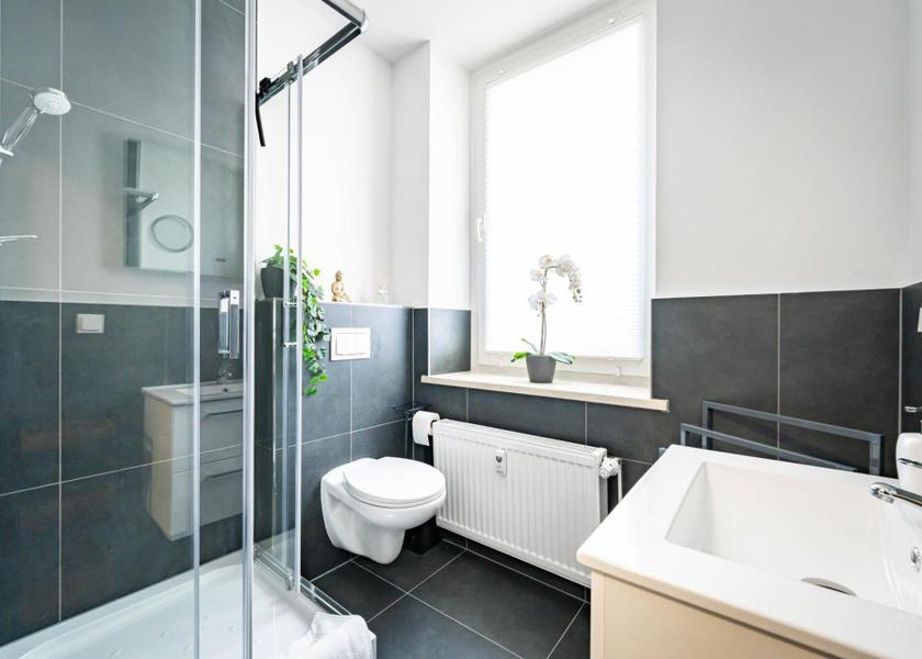 Saxony-Anhalt Magdeburg shower