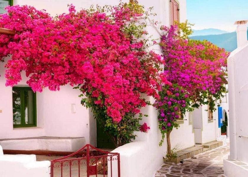 Western Greece Nafpaktos 