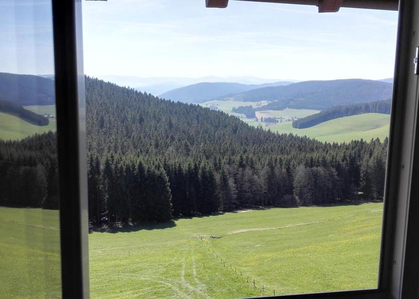 Baden-Württemberg Titisee-Neustadt view