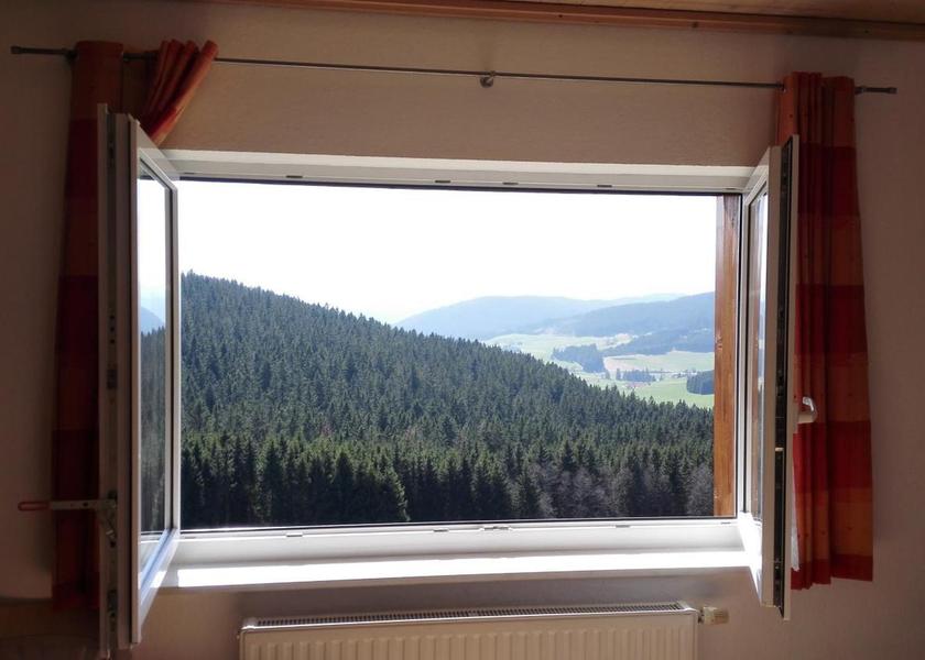 Baden-Württemberg Titisee-Neustadt view