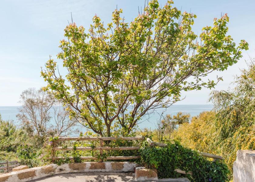 Sicily Castelvetrano 