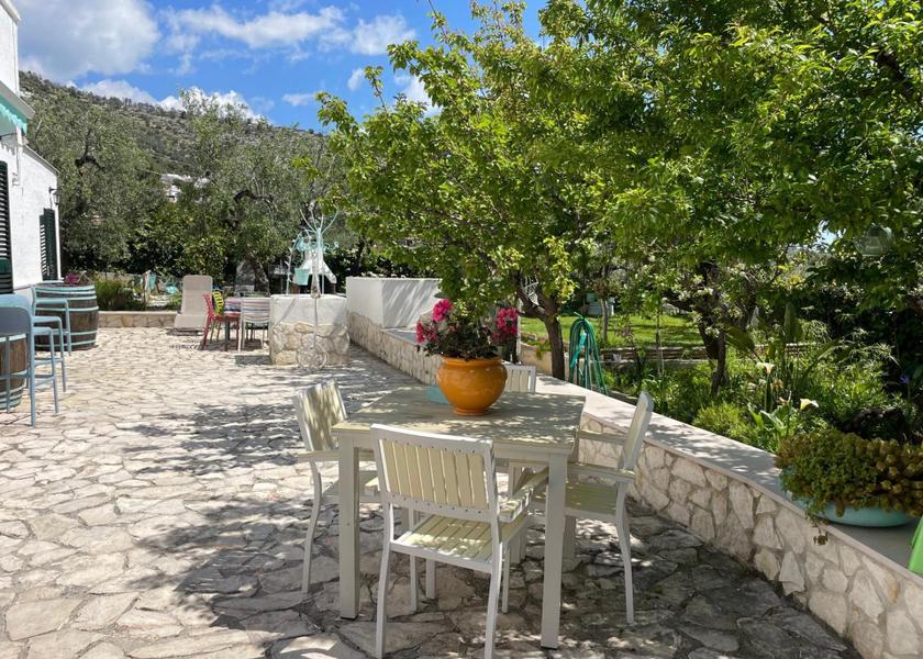 surrounding environment