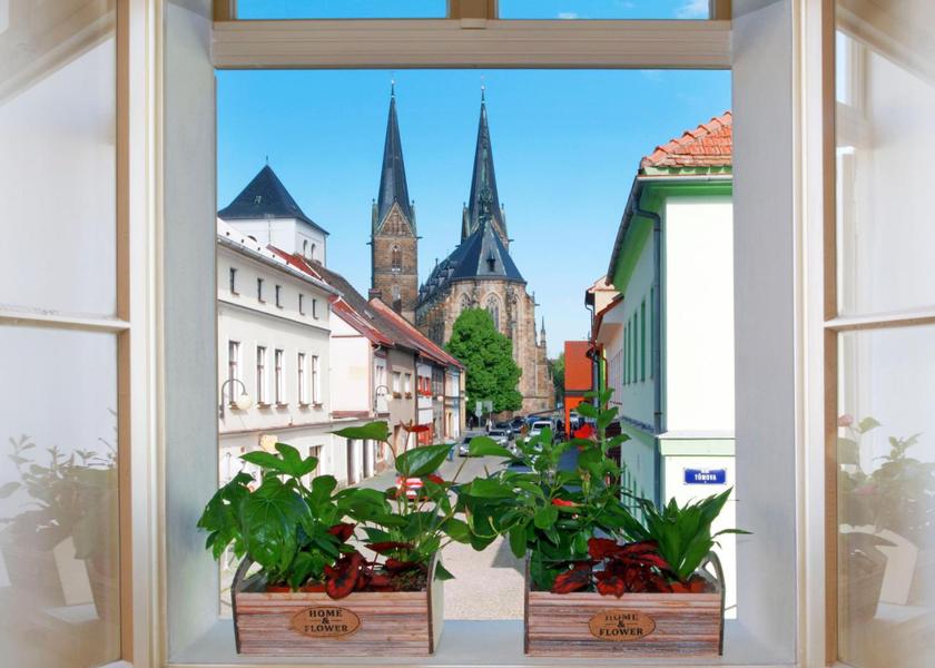 Pardubice Region Vysoke Myto 