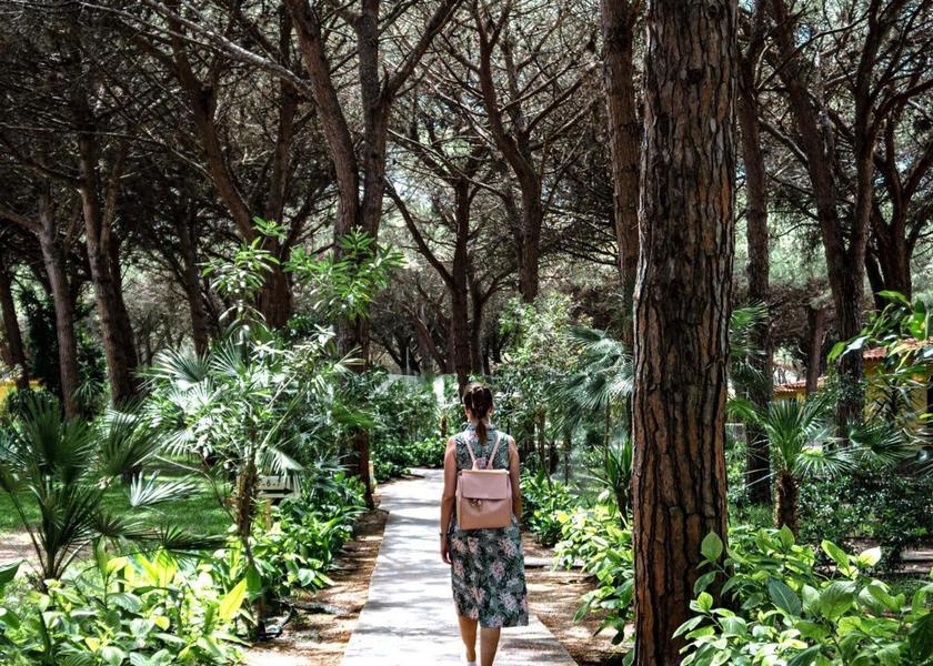 surrounding environment