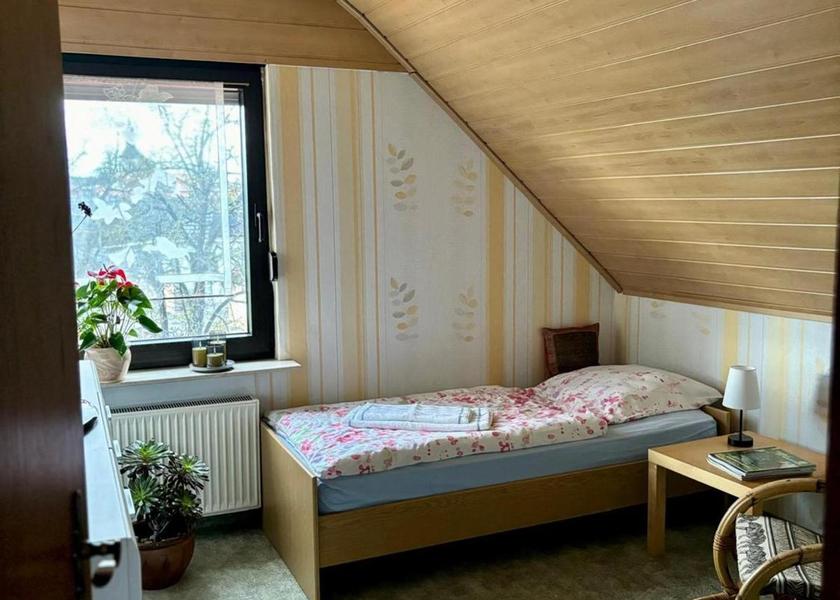 Saxony-Anhalt Mücheln (Geiseltal) Single Room with Shower