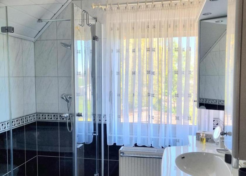 Saxony-Anhalt Mücheln (Geiseltal) Single Room with Shower
