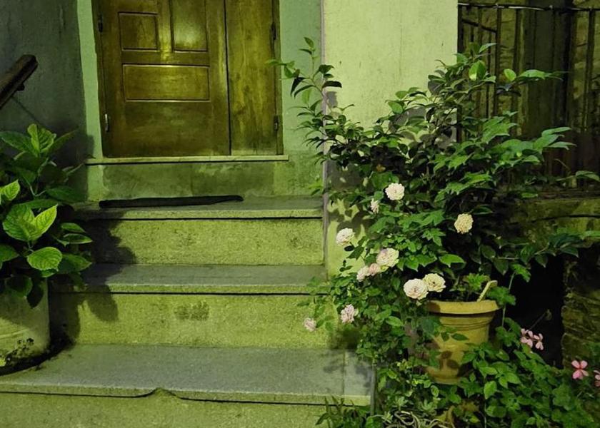 Campania Ascea 