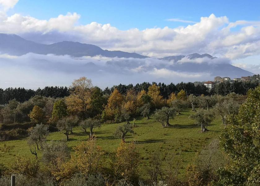 surrounding environment