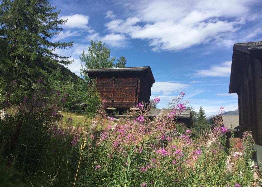 surrounding environment