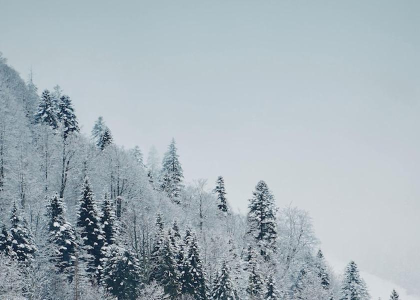 Kolašin Municipality Kolašin Snow and ski sports