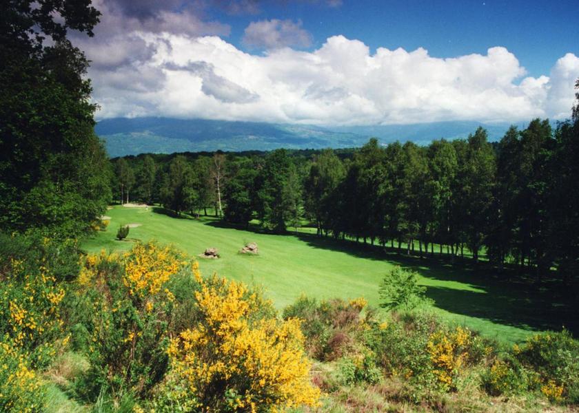 golf course [on-site]