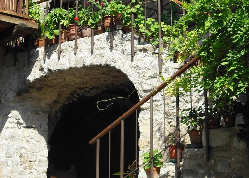 Lombardy Borno 