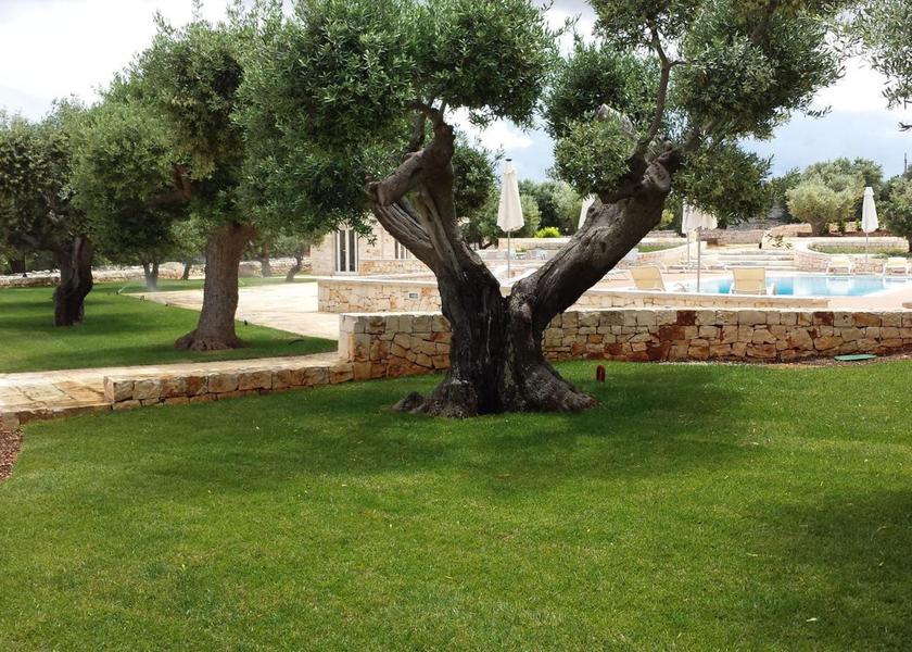 Puglia Castellana Grotte swimming pool