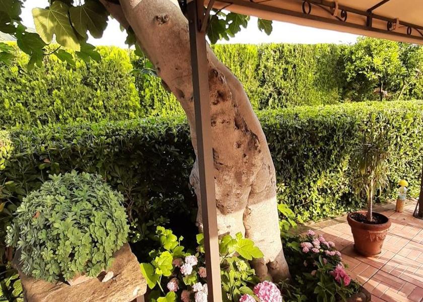 Campania Castelnuovo Cilento facilities