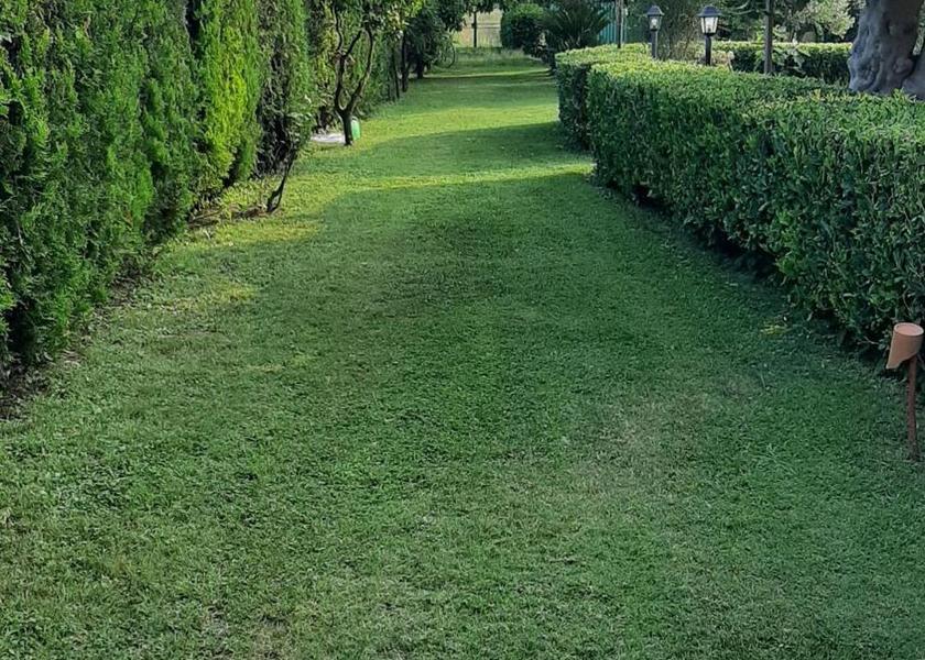 Campania Castelnuovo Cilento 