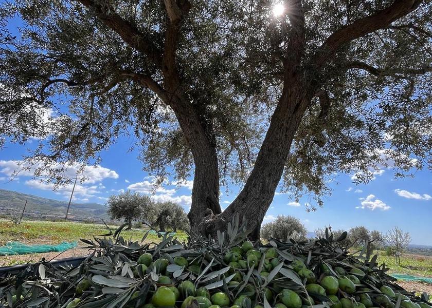 Sicily Chiaramonte Gulfi 