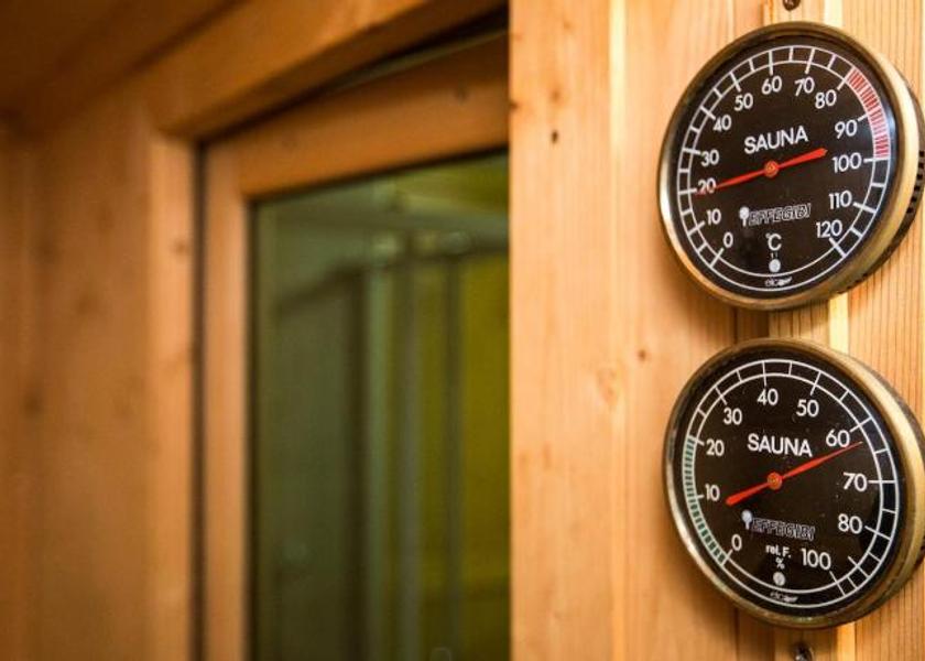 Valle d'Aosta Cogne Sauna