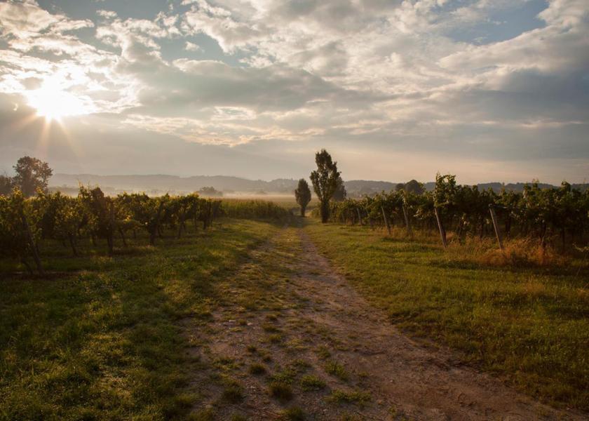 surrounding environment