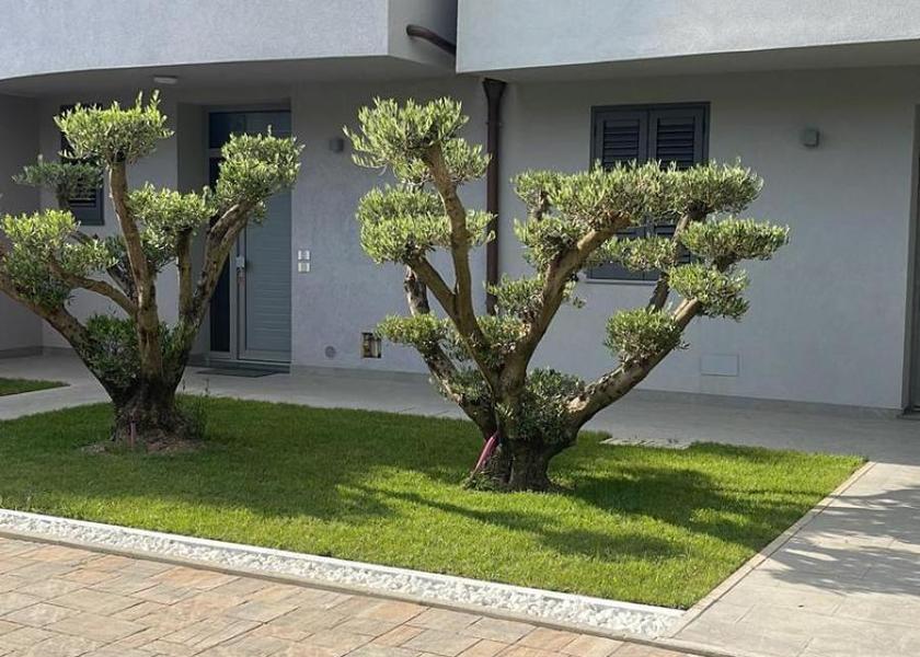 Tuscany Empoli garden