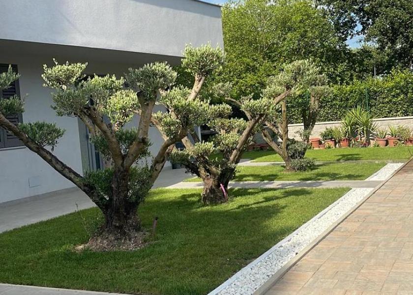 Tuscany Empoli garden