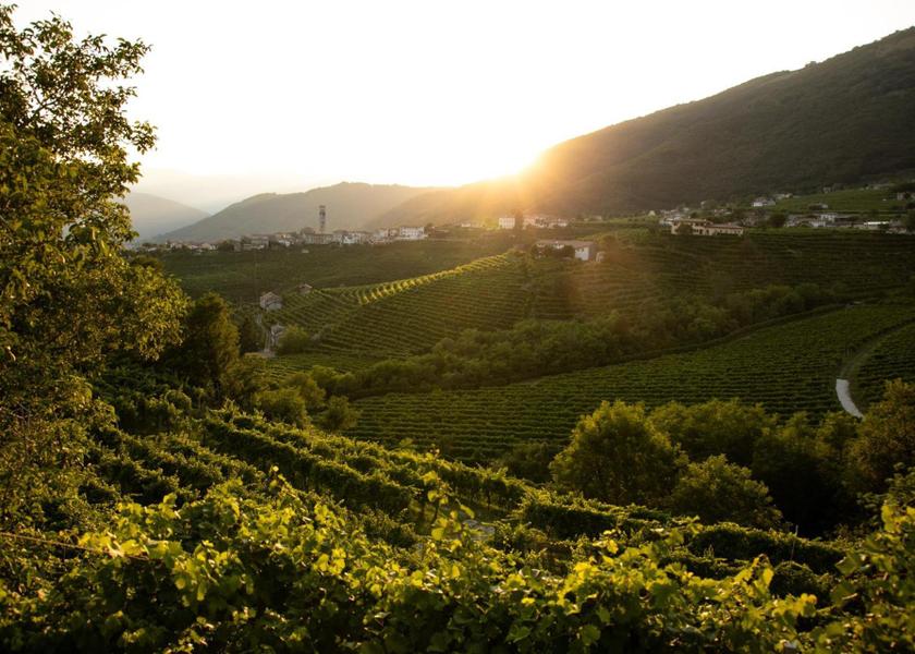 surrounding environment