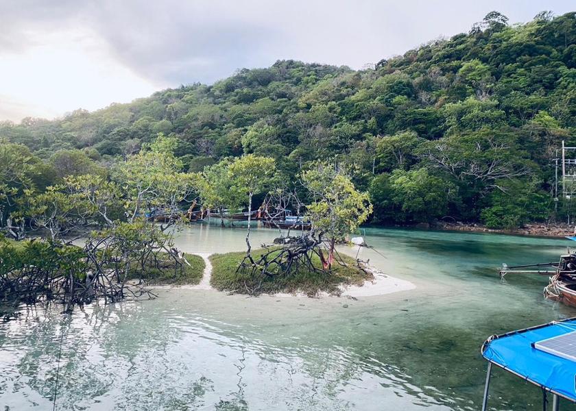 Krabi Province Ko Phi Phi 