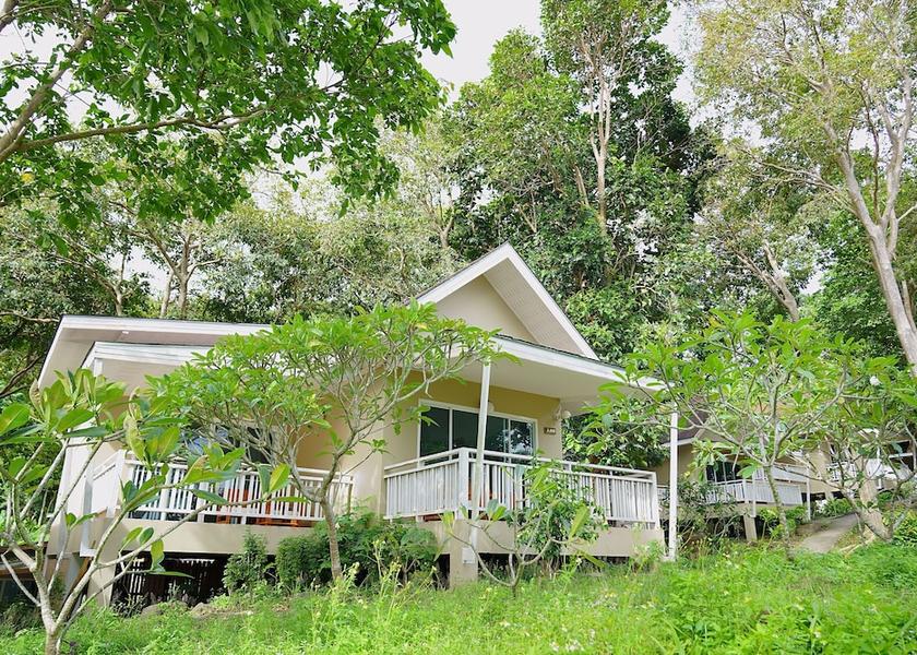 Krabi Province Ko Phi Phi Garden view
