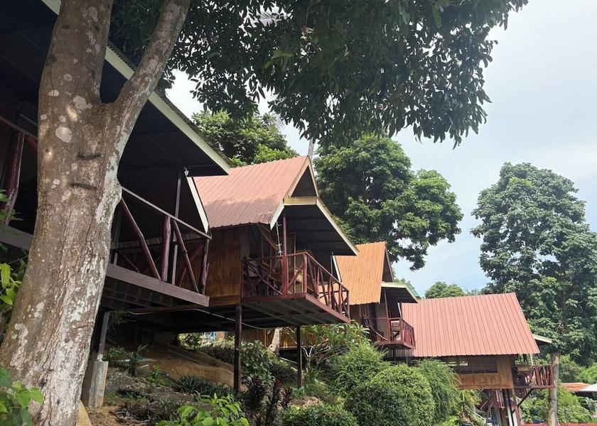 Krabi Province Ko Phi Phi Exterior