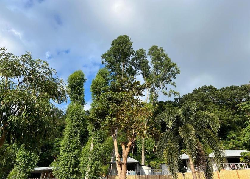 Krabi Province Ko Phi Phi surrounding environment