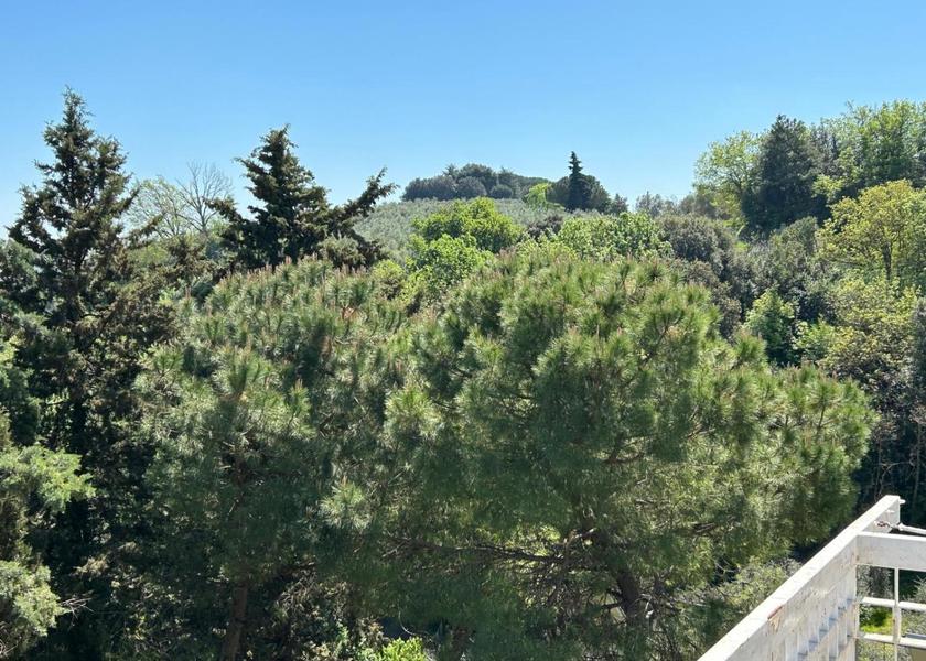 surrounding environment