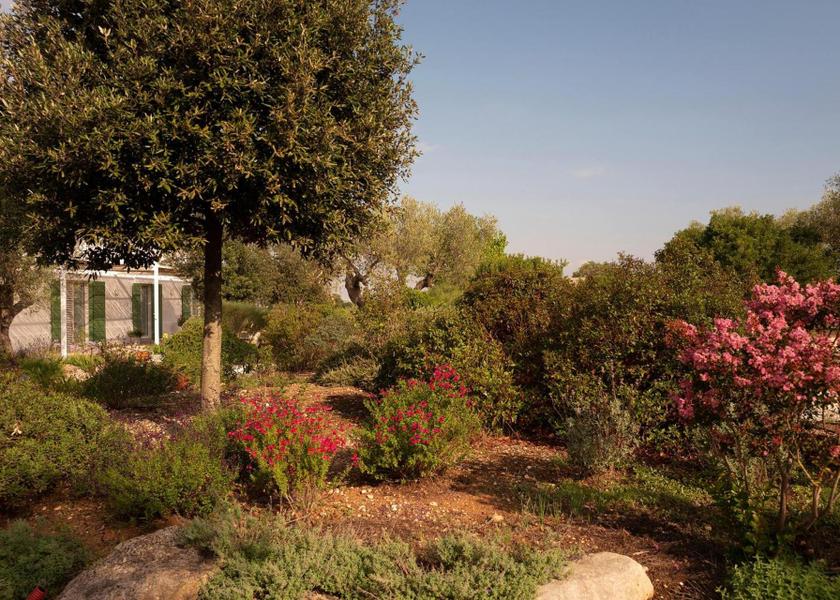 Puglia Gioia del Colle 